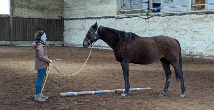 Comprendre et approcher le cheval (Savoir 1) - Du 8 au 11 Mai - 720€