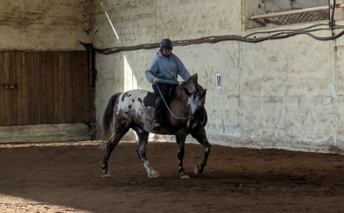 Communiquer avec son cheval monté (Savoir 3) - Dates à venir - 900€