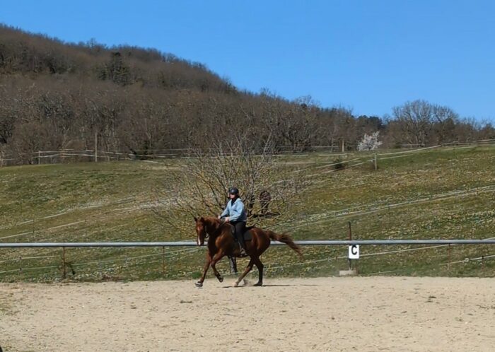 Affiner la communication à cheval (Savoir 5) - Dates à venir - 900€